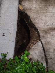 Photo of this report