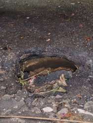 Photo of this report