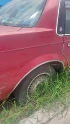 Photo of this report