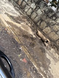 Photo of this report