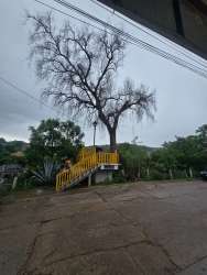 Photo of this report