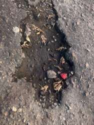 Photo of this report